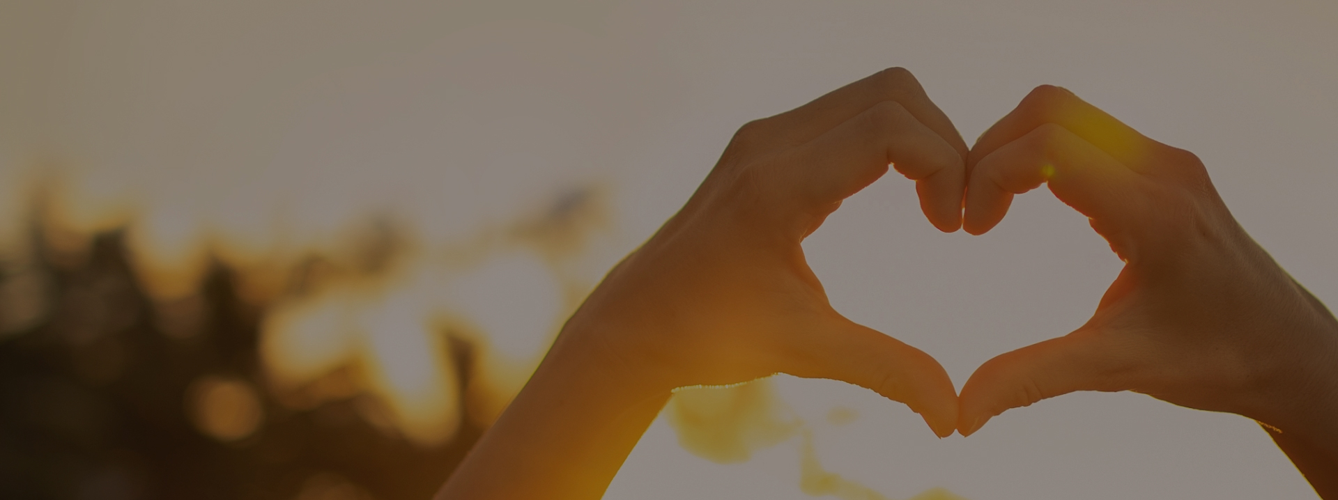 Z6��������ʱ��(�й���)�ٷ���վ