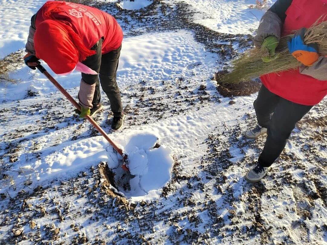 Z6��������ʱ��(�й���)�ٷ���վ