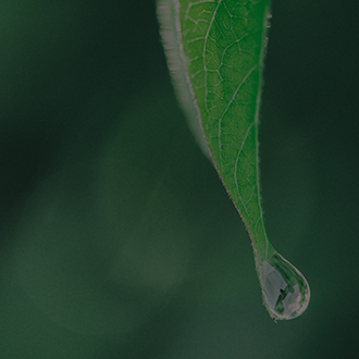 Z6��������ʱ��(�й���)�ٷ���վ