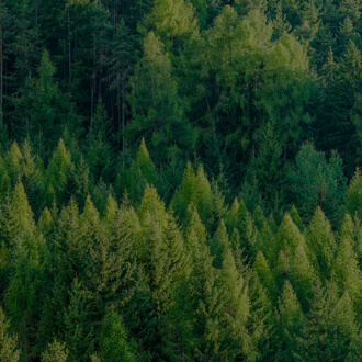 Z6��������ʱ��(�й���)�ٷ���վ