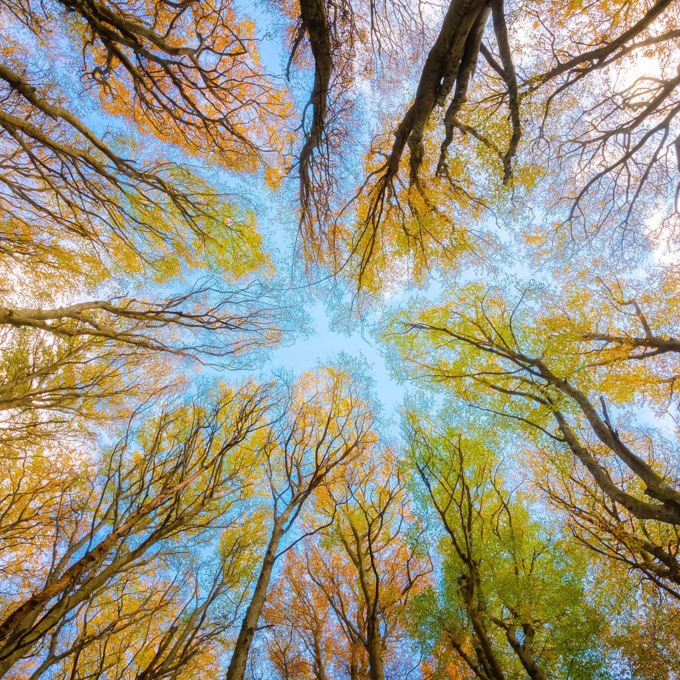 Z6��������ʱ��(�й���)�ٷ���վ