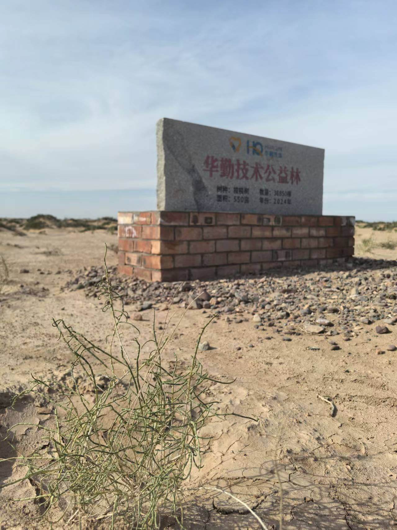 Z6��������ʱ��(�й���)�ٷ���վ