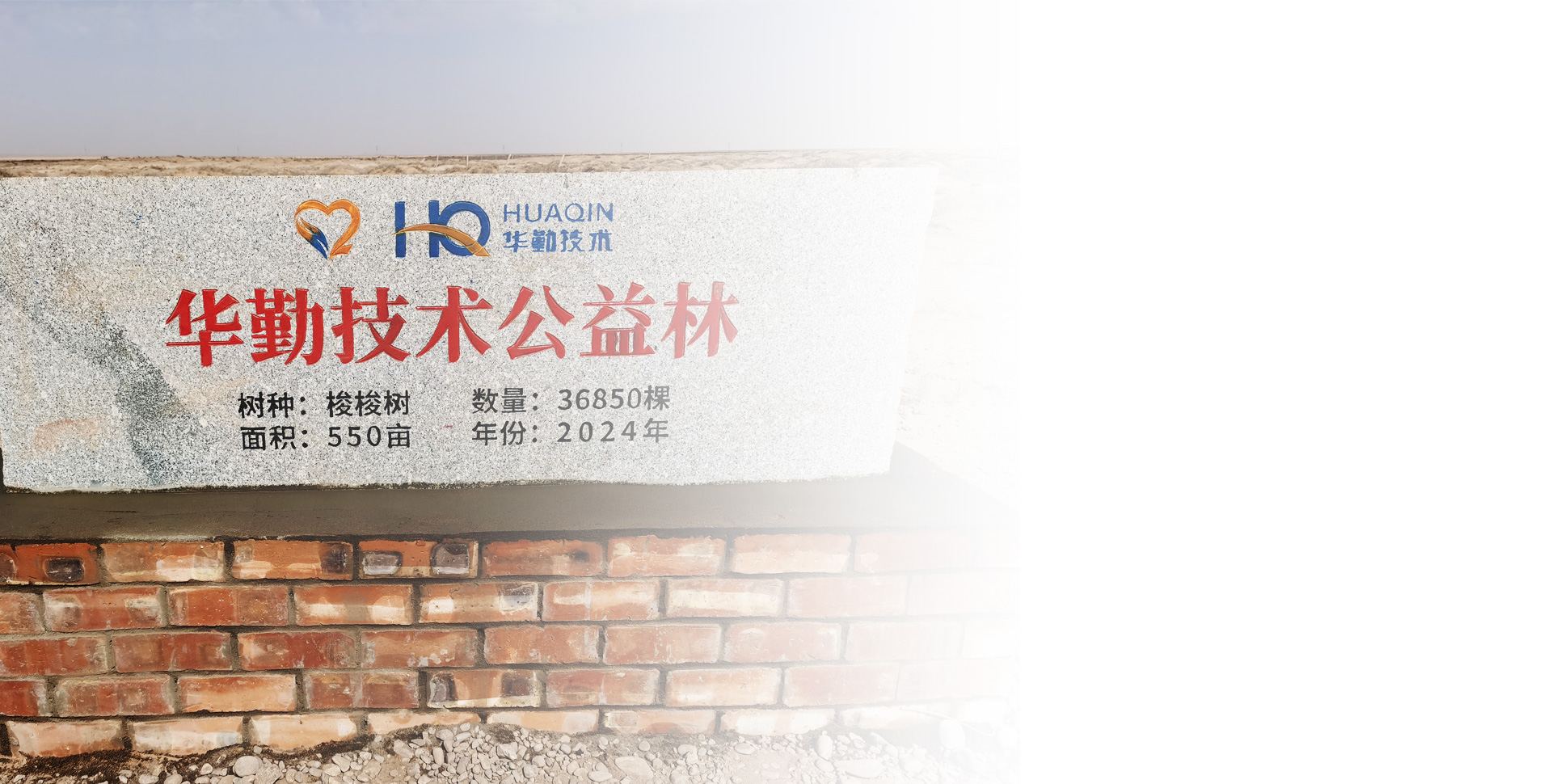 Z6��������ʱ��(�й���)�ٷ���վ